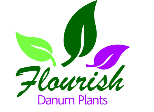 Flourish by Danum Plants